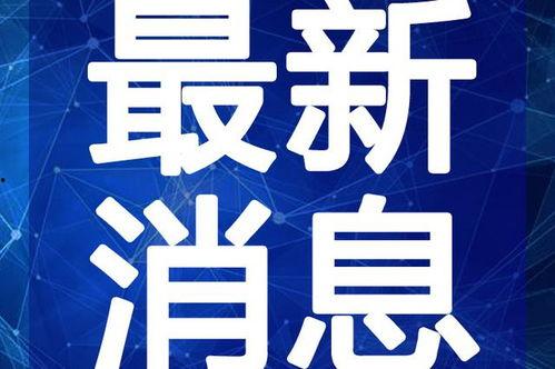 河源婚庆爆料视频最新,浪漫瞬间，甜蜜回忆